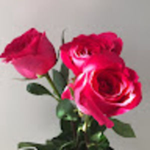 Meet your Posher, Helen